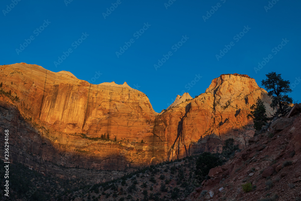 Scenic Zion National Park Utah at Sunrise