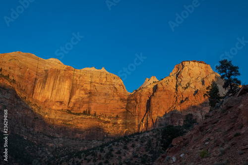 Scenic Zion National Park Utah at Sunrise