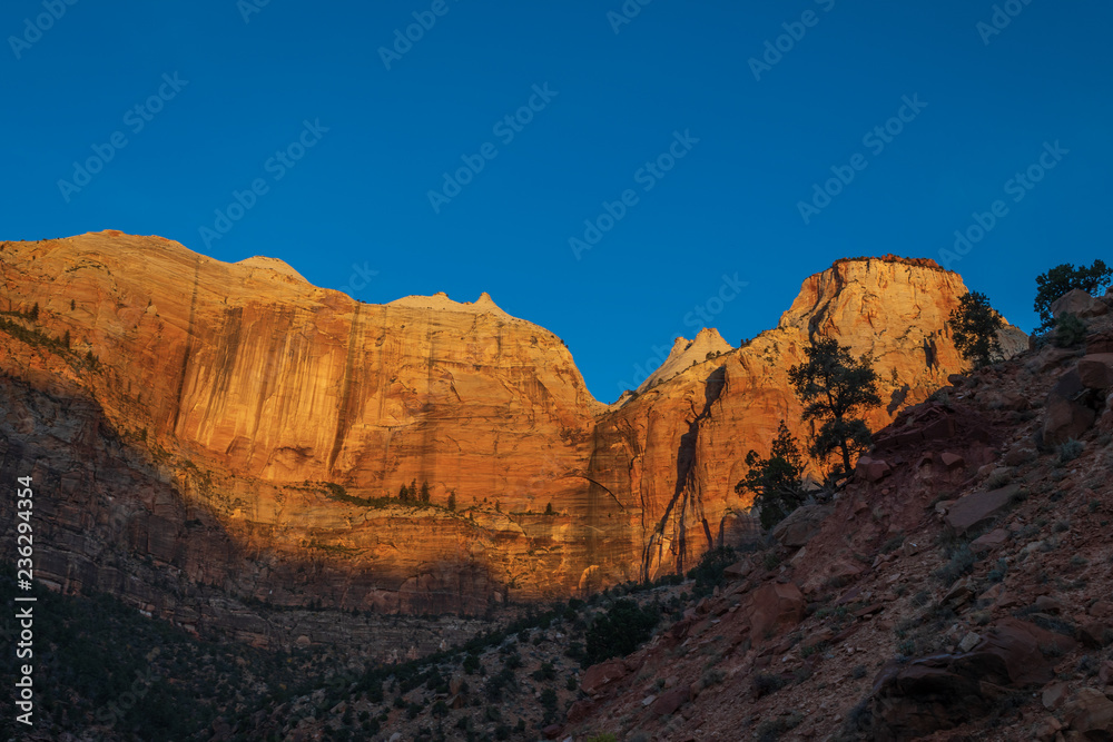 Scenic Zion National Park Utah at Sunrise