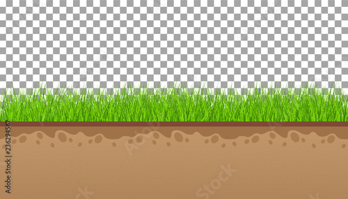 Ground  with green grass On a transparent background. Vector illustrations