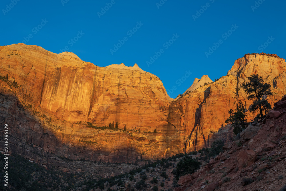 Scenic Zion National Park Utah at Sunrise Scenic Zion National Park Utah at Sunrise