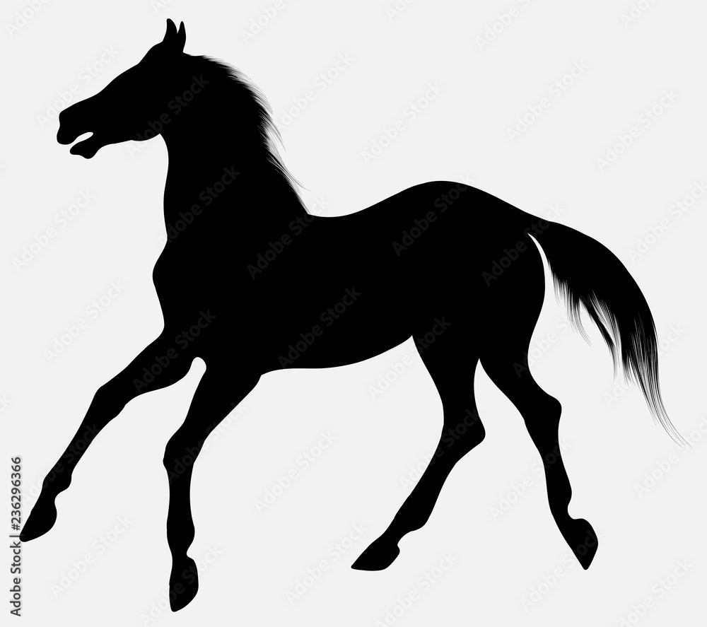 Black vector silhouette of horse with long mane, walking free. Clip art and design element for equine industry. Emblem of an agricultural animal.