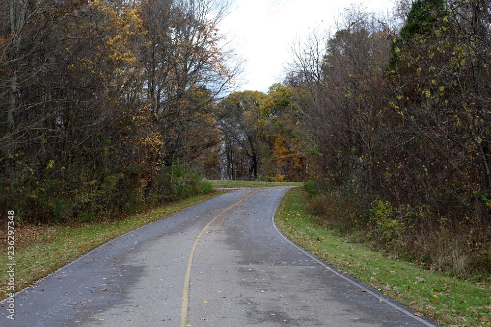 In the middle of the autumn landscape scene in the country.