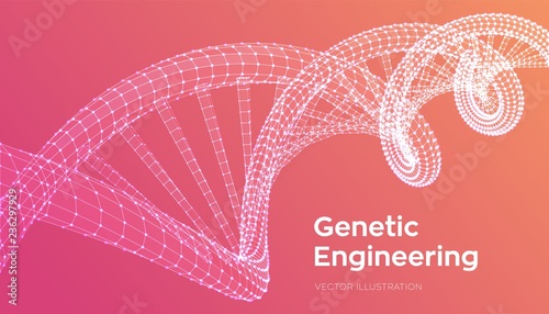 DNA sequence. Wireframe DNA molecules structure mesh. DNA code editable template. Science and Technology concept. Vector illustration.