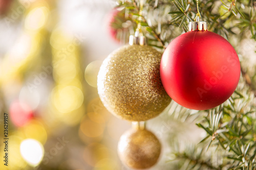 Close-up of Red and gold Christmas ball hanging on Christmas tree.