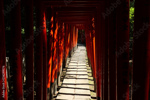 Fototapeta Naklejka Na Ścianę i Meble -  Torii gate in a Japanese shrine 