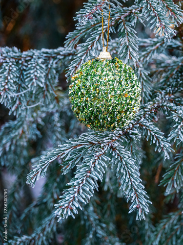 Glittering Christmas decora...