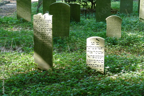 Jüdischer Friedhof im Wald