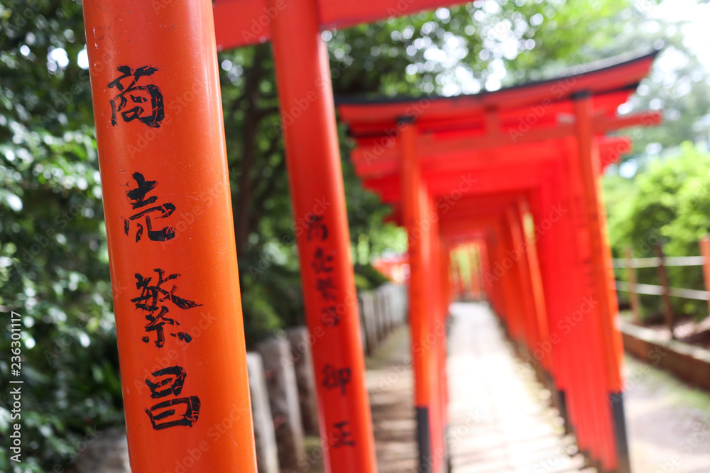 Torii gate in shrine