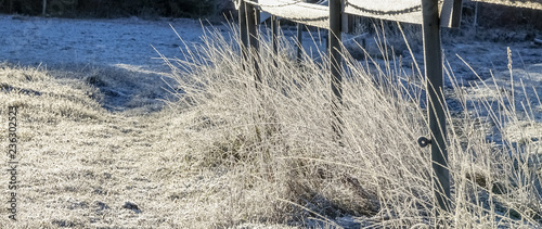 Frozen grass a sunny cold d...