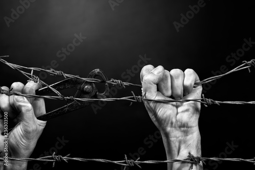 Man cuting a barbed wire fence. Black and white. photo
