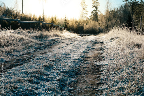 Frosty forest road a cold s...