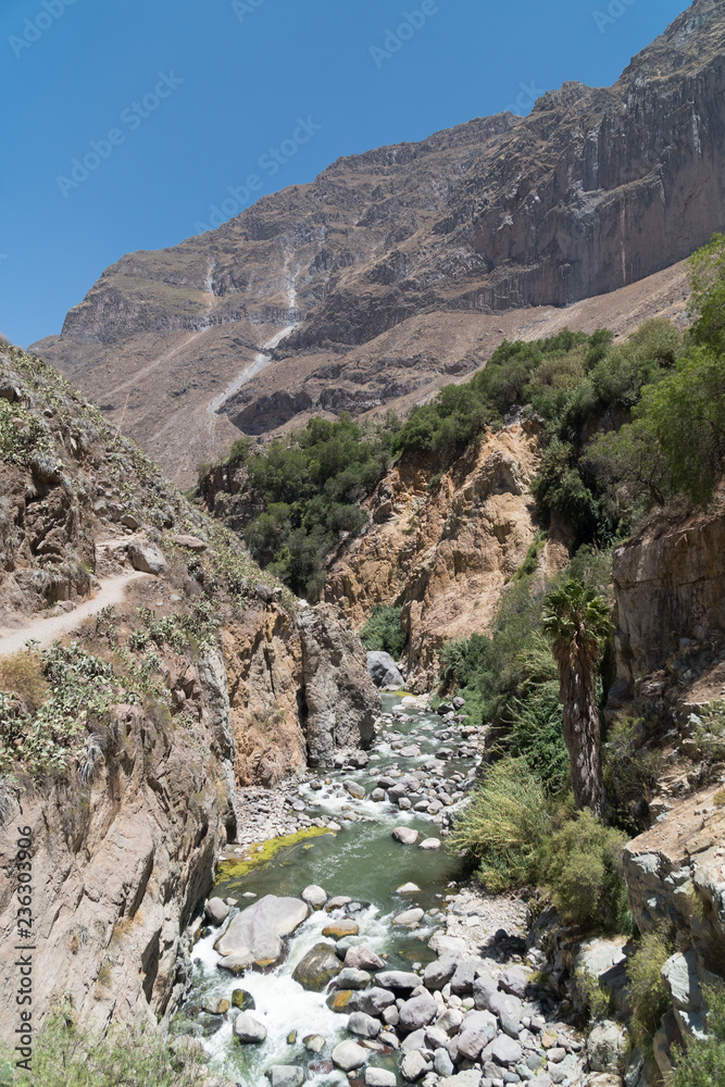 Colca Canyon Landscape