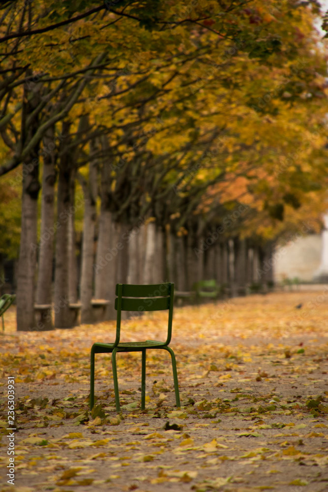 Stuhl auf einem Weg im Park in Paris im Herbst 