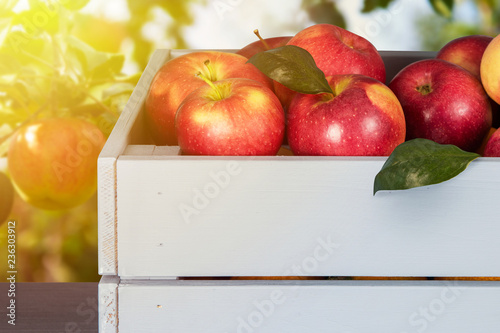 Red apples in wooden box on...