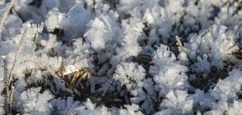 Frozen grass a sunny cold d...