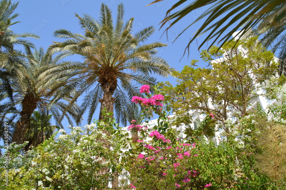  Plants in Israel