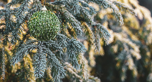 Glittering Christmas decora...