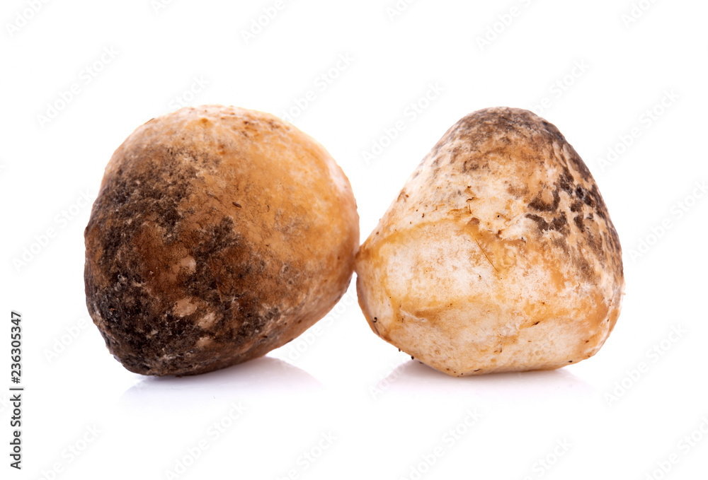 Straw mushrooms isolated on white background Straw mushrooms isolated on white background