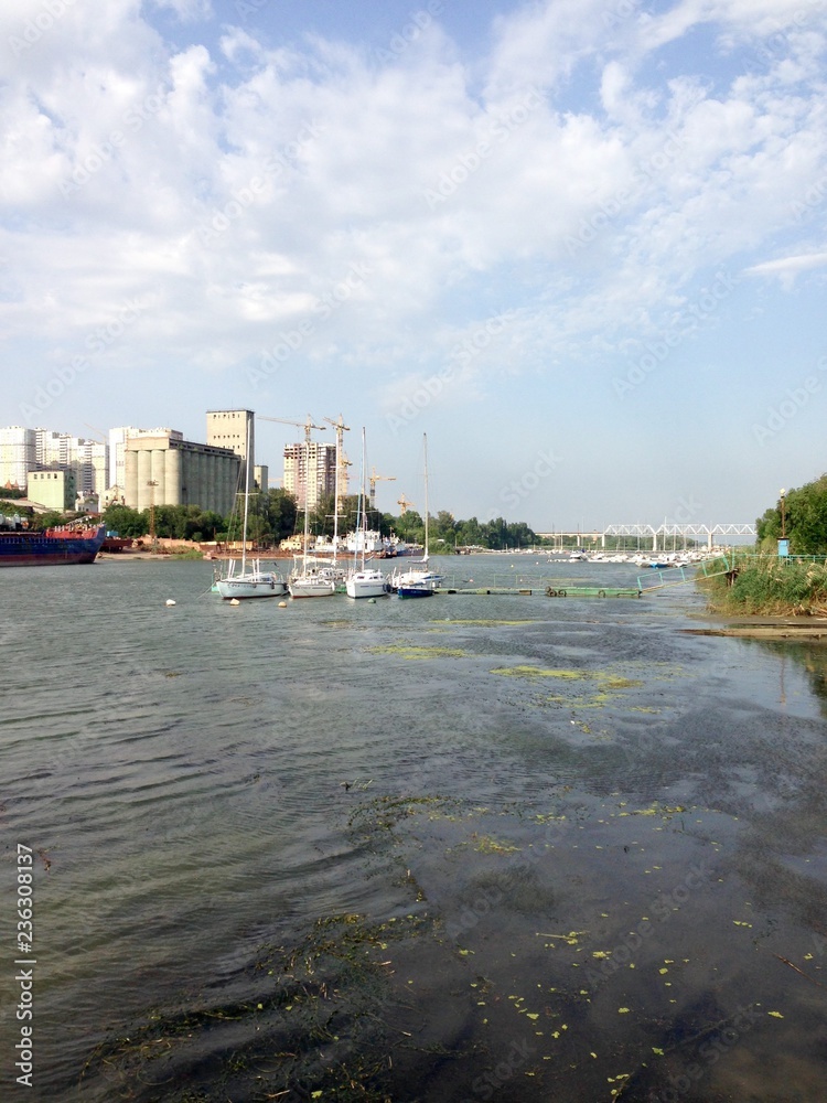 Fototapeta premium River