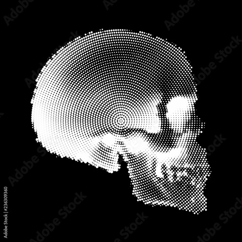 Human Skull