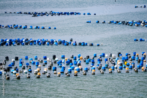 Oyster farm is made of plastic bucket with the rope under the sea