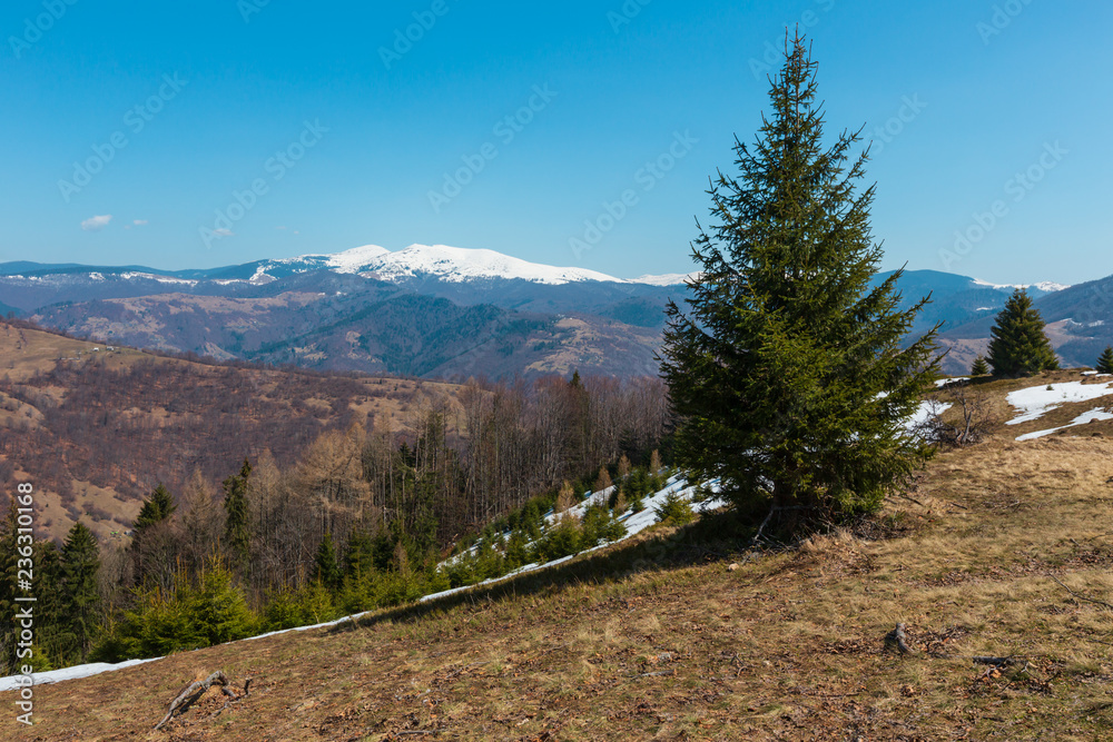 Obraz premium Early spring Carpathian mountains