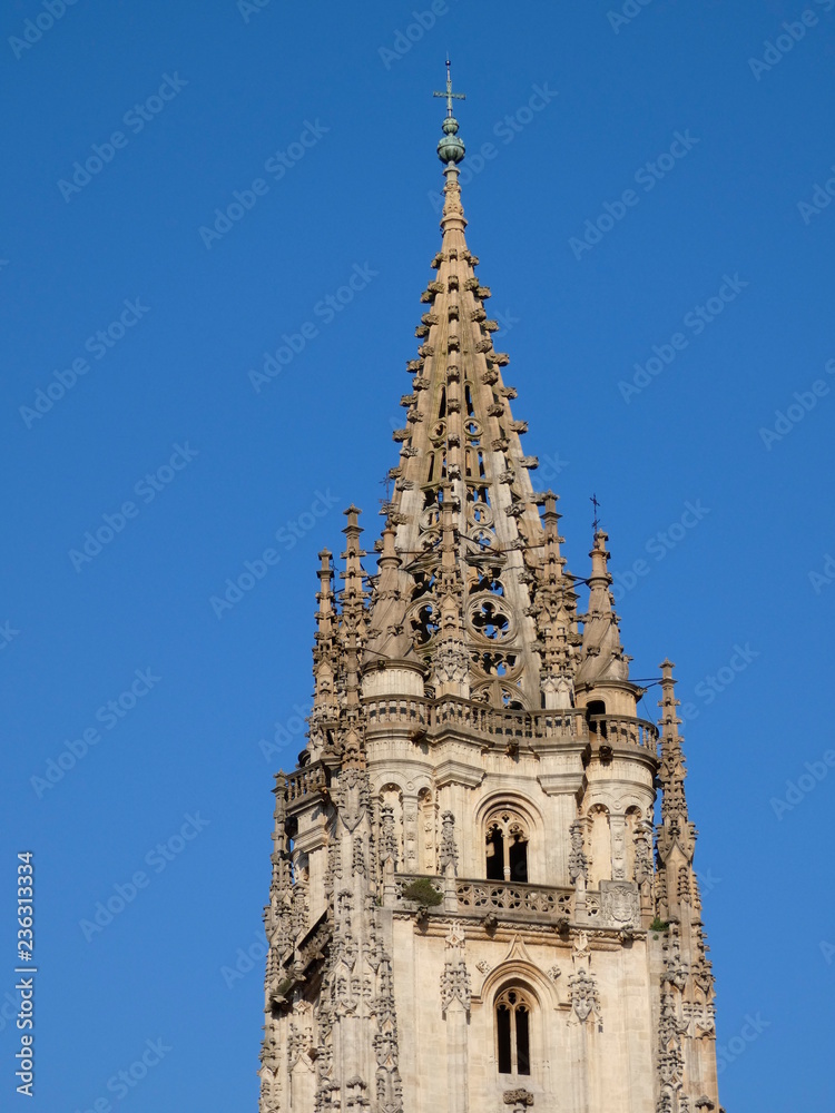 La Santa Iglesia Basílica Catedral Metropolitana de San Salvador de Oviedo