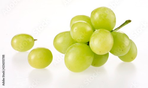 Photos GREEN GRAPES ON WHITE