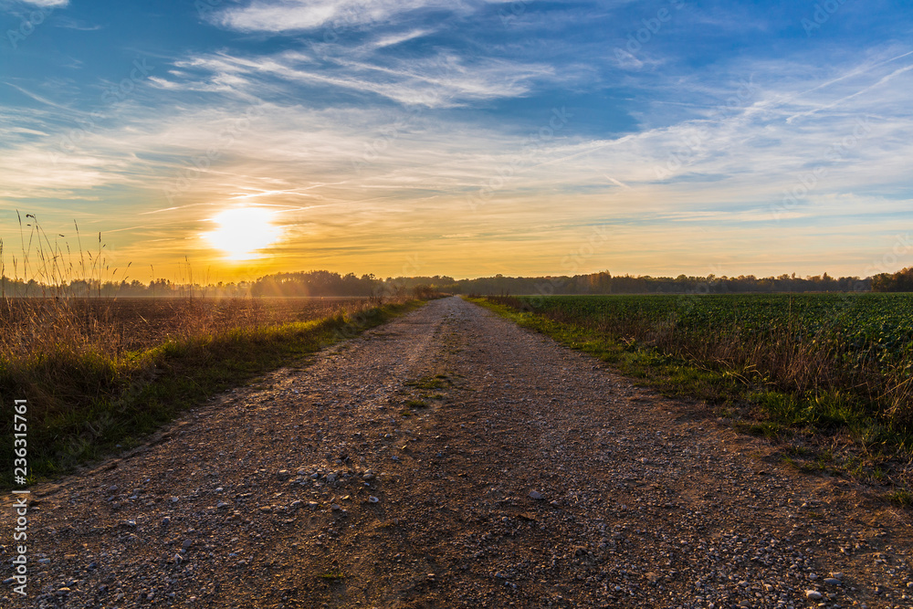 Country lane with lens flare, road to nowhere concept