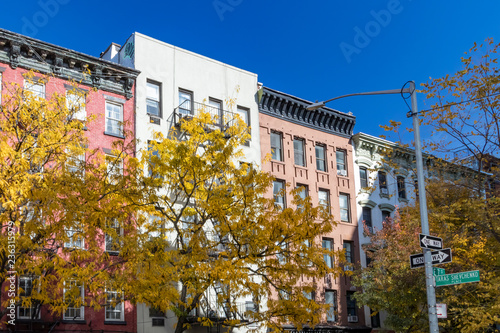 Yellow fall trees on 7th Street in the East Village of Manhattan, New York City