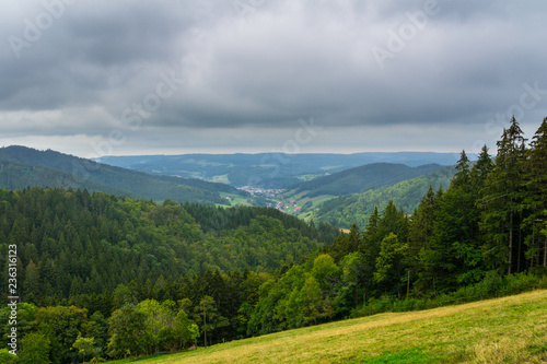 Germany, Viewpoint on black forest mountain down the valley of Elzach Yach