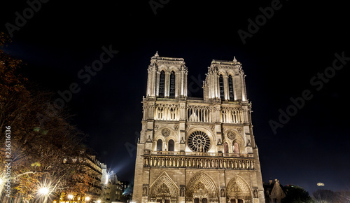 Notre Dame de Paris by night with starry sky, France