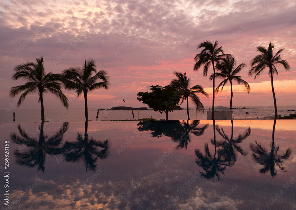 Tropical Paradise Palm Trees reflecting in a swimming pool on the beaches of Punta Mita, Mexico