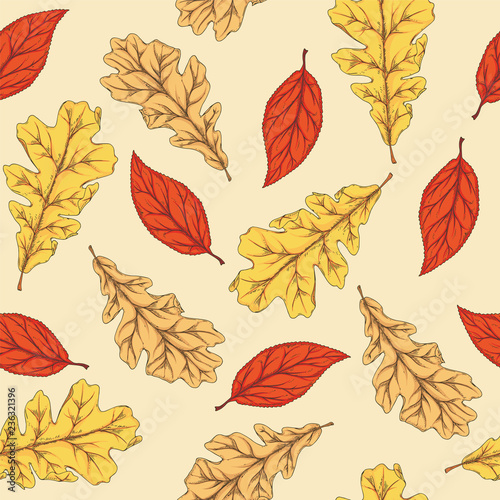 Seamless Pattern with Autumn Leaves