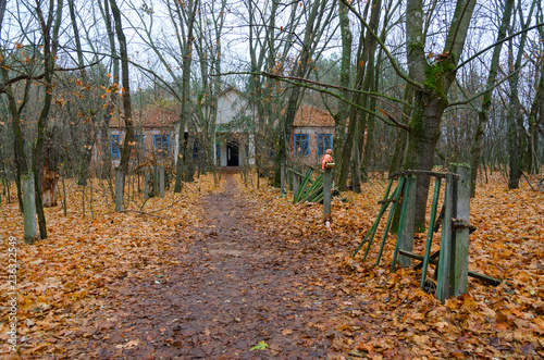 Building of abandoned kindergarten in destroyed village of Kopachi (Chernobyl NPP alienation zone), Ukraine photo