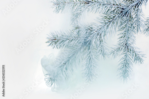 water color white background acrylic inside water green around smoke steam frost haze snow spruce branch needles christmas tree winter