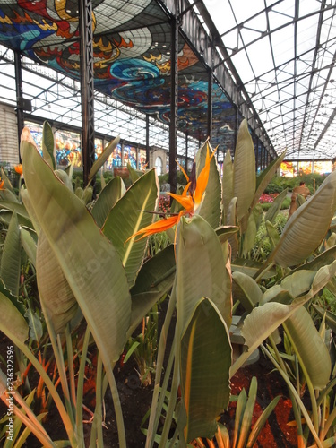 Jardin botanique de Toluca, Cosmovitrail - Mexico photo