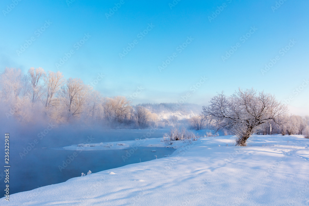 Winter landscape of trees and river in a foggy morning. Frost and cold and sunshine. Winter landscape of trees and river in a foggy morning. Frost and cold and sunshine.