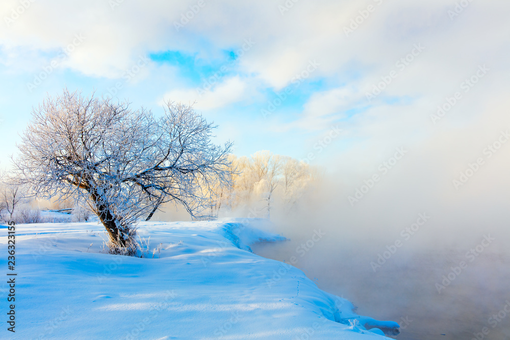 Winter landscape of trees and river in a foggy morning. Frost and cold and sunshine. Winter landscape of trees and river in a foggy morning. Frost and cold and sunshine.