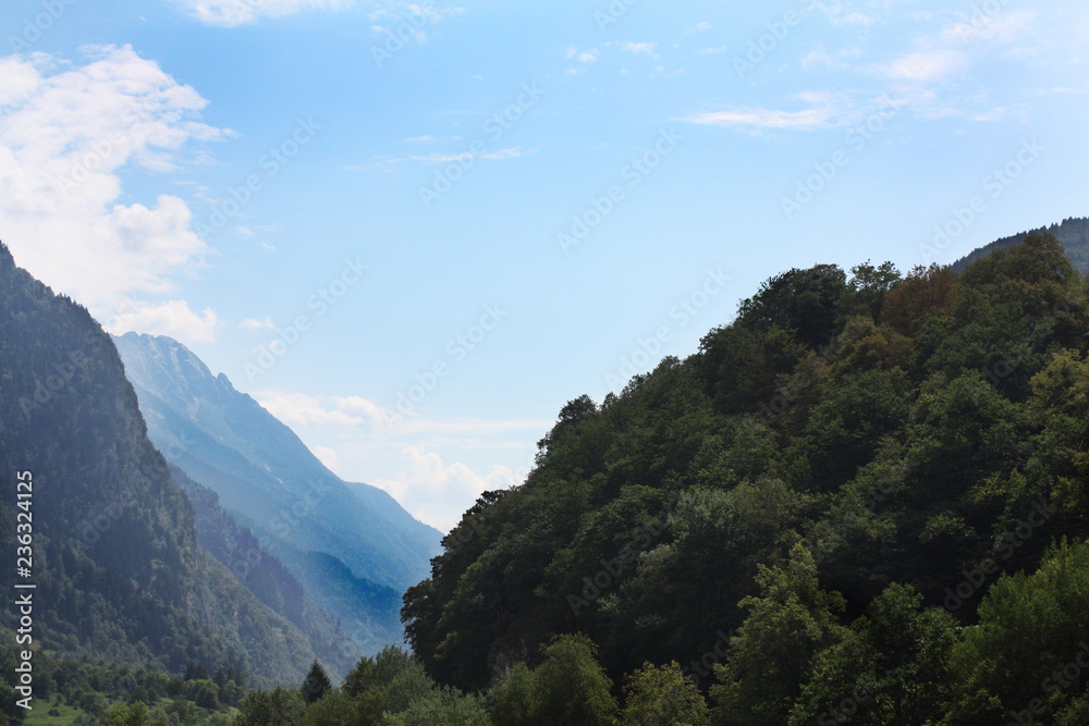 Swiss forest in mountains Alps, summer. Sunny day. Swiss forest in mountains Alps, summer. Sunny day.