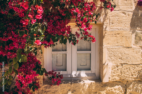 Maltese window in countryside Fototapet