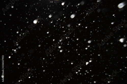 The texture of the flying snow on a black background.