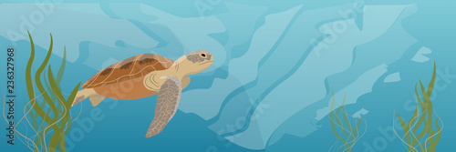 Tropical underwater realistic landscape. A large green sea turtle soup swims under water. Seaweed Vector illustration of a sea life