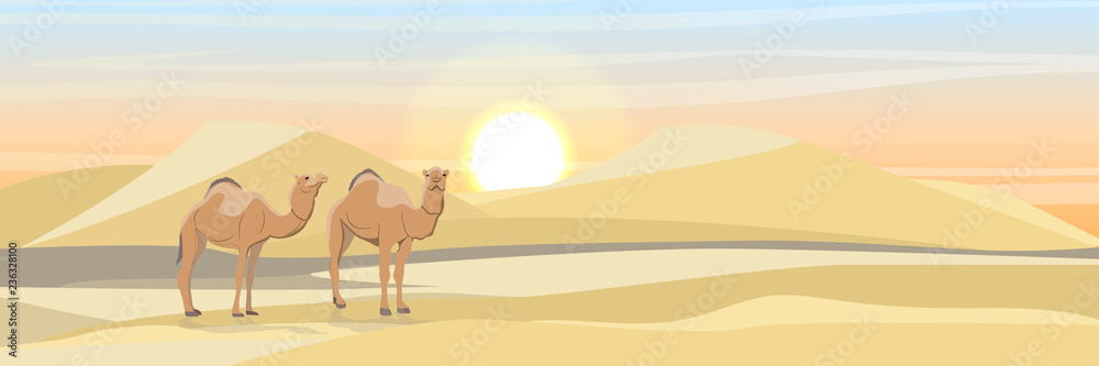 Two one-humped camels in the desert with sand dunes. Wildlife of Africa. Sahara Desert. Realistic Vector Landscape
