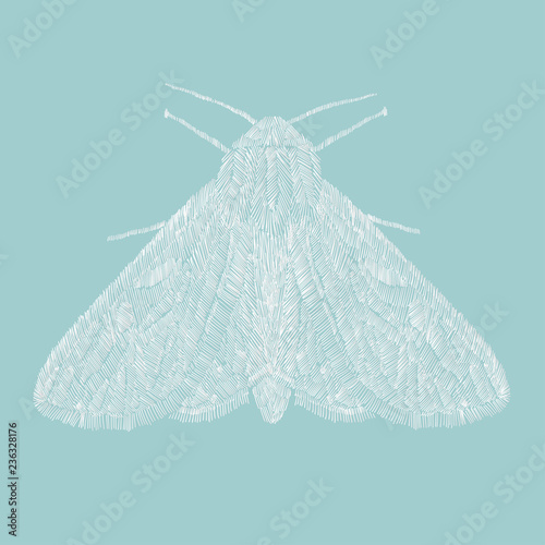 Vector white moth butterfly. Hand drawn embroidered insect illustration.