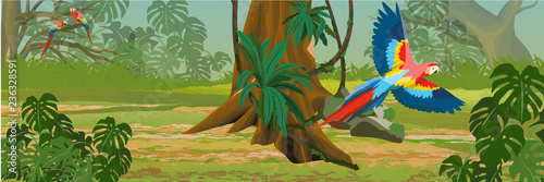 Macaw parrot flies through the jungle. A tropical forest. Rainforests of Amazonia. Tree, epiphytes, creepers, banana trees, flowers and monsteras. Realistic Vector Landscape