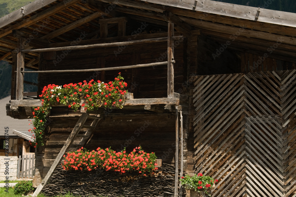 Holzschuppen mit Blumenschmuck im Ridnauntal