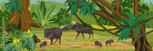 Peccary in the jungle. A tropical forest. Rainforests of Amazonia. Tree, epiphytes, creepers, banana trees and monsteras. Realistic Vector Landscape