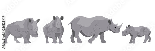 Collection of adult white and black african rhinos and their young. Realistic Vector Animals